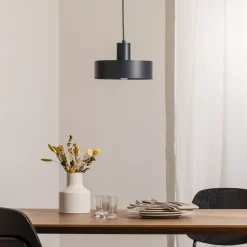SIGMA Pendellamper > Hængelampe Rif M, antracit, 1 lyskilde, Ø 25 cm, stål