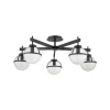Loftlamper ^ HINKLEY Hollis loftlampe, 5 lyskilder, sort/klar