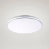 JUST LIGHT. GmbH Loftlamper > Isabell LED-loftslampe, Ø 49 cm