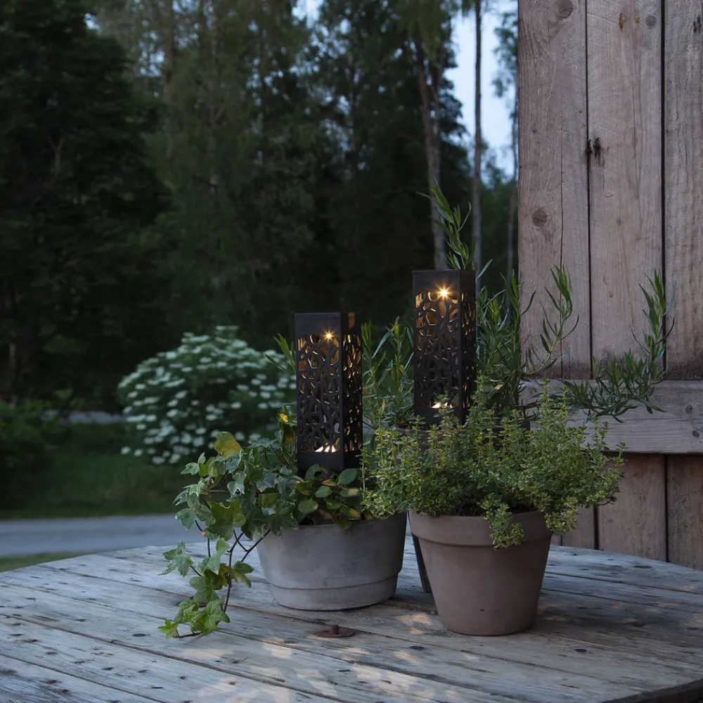 STAR TRADING Dekorationsbelysning|Solcellelamper > Izola LED-solcellelampe, jordspyd sæt med 2