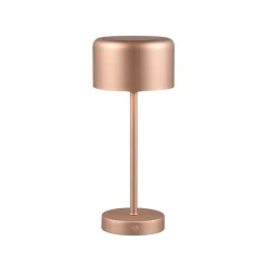 Arbejdsrum/Kontor|Bordlamper ^ Reality Leuchten Jeff LED genopladelig bordlampe, kaffe, højde 30 cm, metal