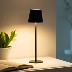 JUST LIGHT. GmbH Dekorationsbelysning > JUST LIGHT. Euria LED-bordlampe, sort, jern IP54