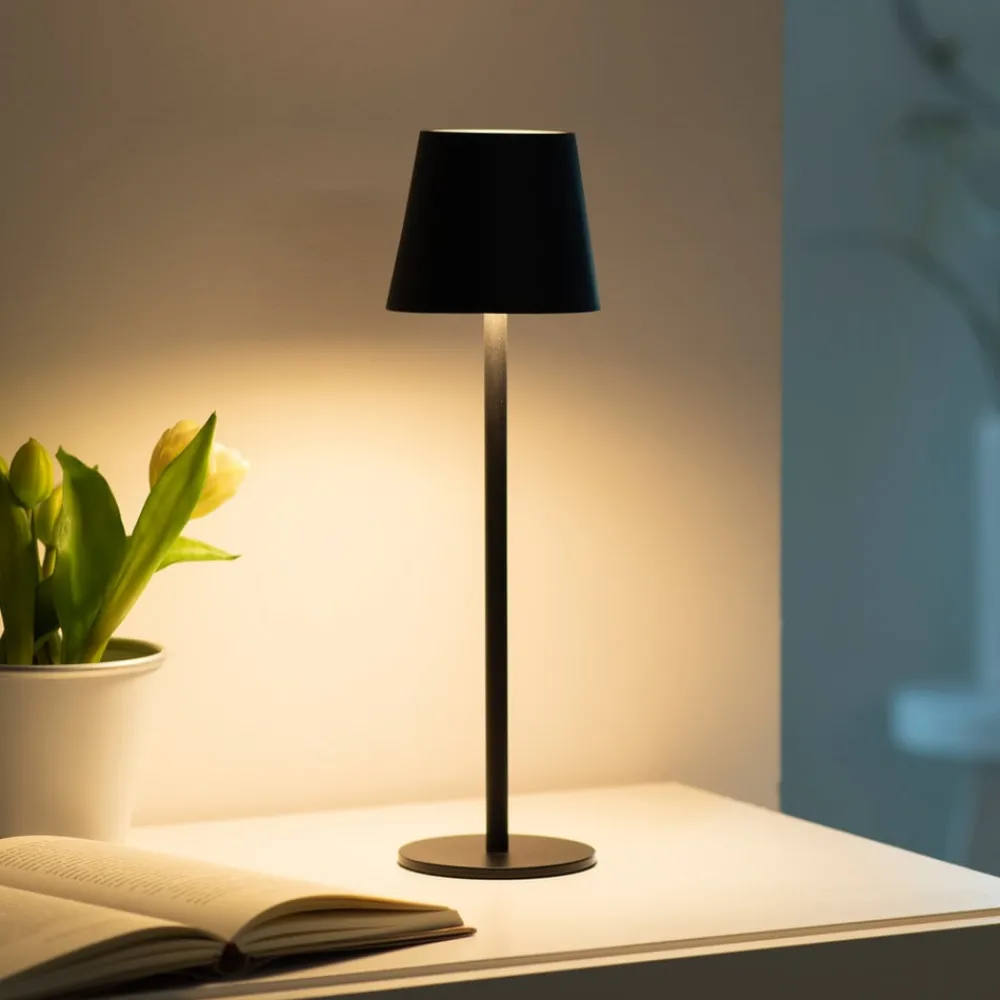 JUST LIGHT. GmbH Dekorationsbelysning > JUST LIGHT. Euria LED-bordlampe, sort, jern IP54