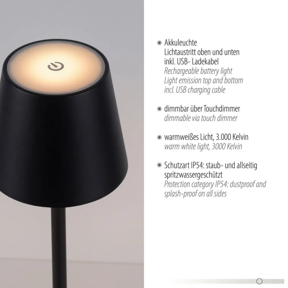 JUST LIGHT. GmbH Dekorationsbelysning > JUST LIGHT. Euria LED-bordlampe, sort, jern IP54