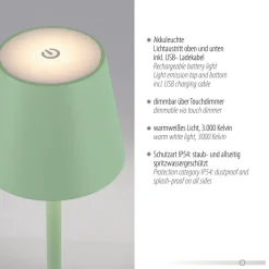 JUST LIGHT. GmbH Dekorationsbelysning|Terrassebelysning > JUST LIGHT. Euria LED-bordlampe, grøn, jern, IP54