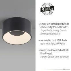 JUST LIGHT. GmbH Loftlamper > JUST LIGHT. LED-loftslampe Tanika sort, Ø16 cm, dæmpbar
