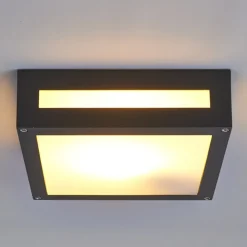 Lucande Udendørs Loftlamper > Kantet udendørslampe Nerea