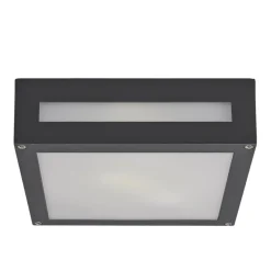 Lucande Udendørs Loftlamper > Kantet udendørslampe Nerea