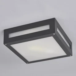 Lucande Udendørs Loftlamper > Kantet udendørslampe Nerea