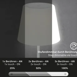 Briloner Dekorationsbelysning|Bordlamper > LED-bordlampe Campi, genopladeligt batteri, dæmpbar, hvid