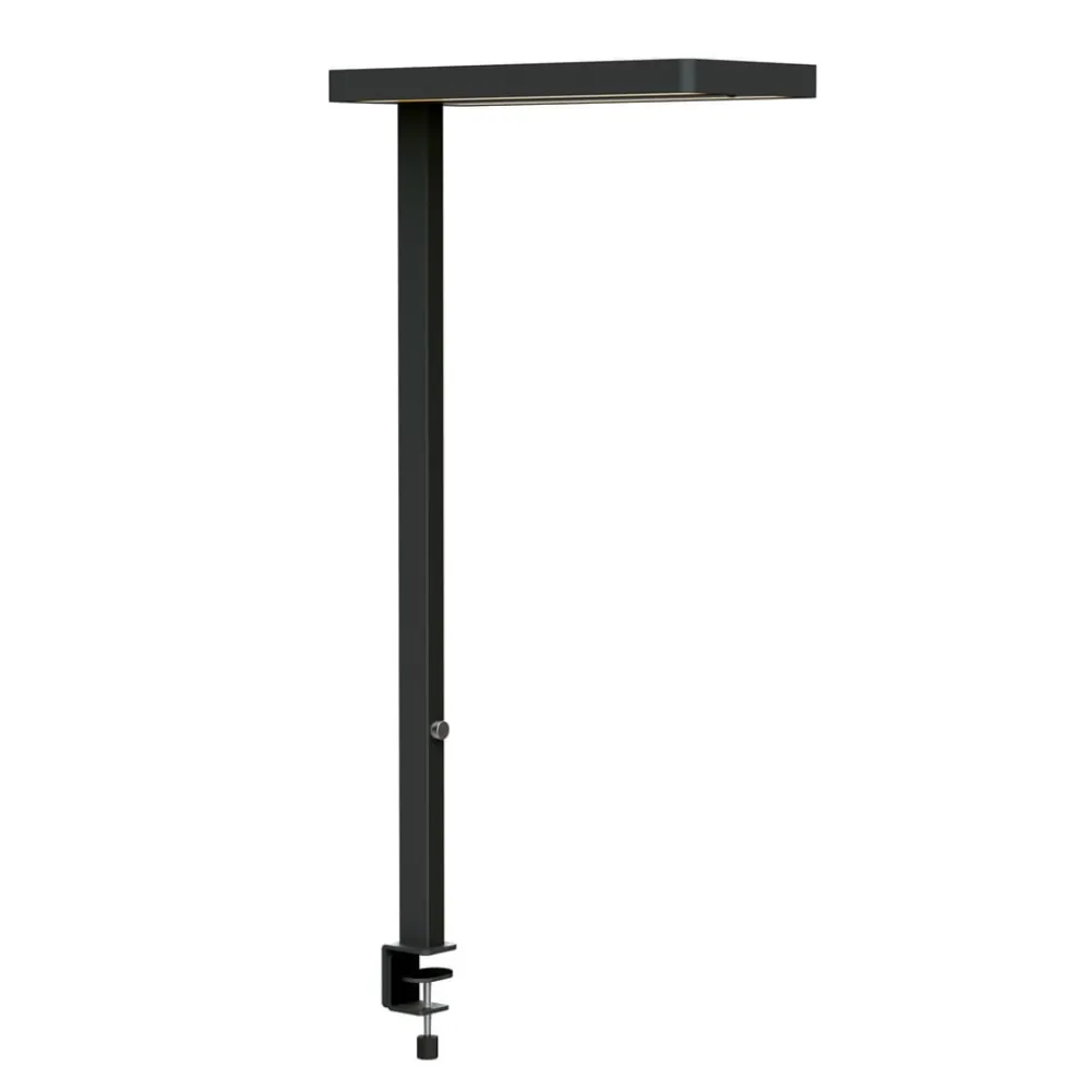 Maul Arbejdsrum/Kontor > LED-bordlampe juvis, sort 120 cm dæmpbar klemmefod