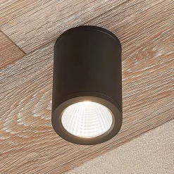 Lucande Udendørs Loftlamper > LED-downlight Embla af aluminium IP54, mørkegrå