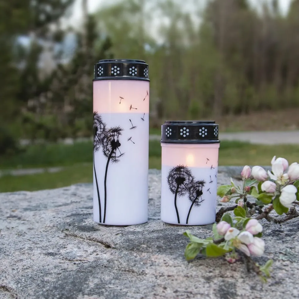STAR TRADING Dekorationsbelysning > LED gravlys Mælkebøtte, 12 cm hvid/sort plast batteri