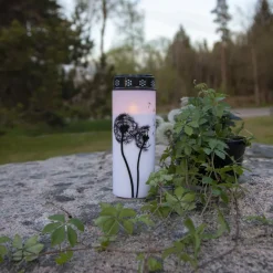 STAR TRADING Dekorationsbelysning > LED gravlys Mælkebøtte, 21 cm hvid/sort plast batteri