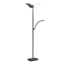 Gulvlamper ^ HELL LED-gulvlampe Andy, 3 lyskilder, antracit, CCT, dæmper