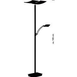 Gulvlamper ^ HELL LED-gulvlampe Andy, 3 lyskilder, antracit, CCT, dæmper