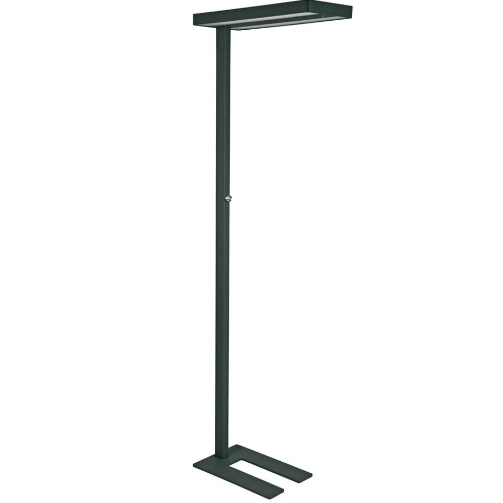Maul Gulvlamper > LED-gulvlampe juvis, sort, 196 cm base dæmpbar