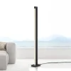 Gulvlamper ^ PURE LED-gulvlampe Lines, antracit, fjernbetjening, 140 cm