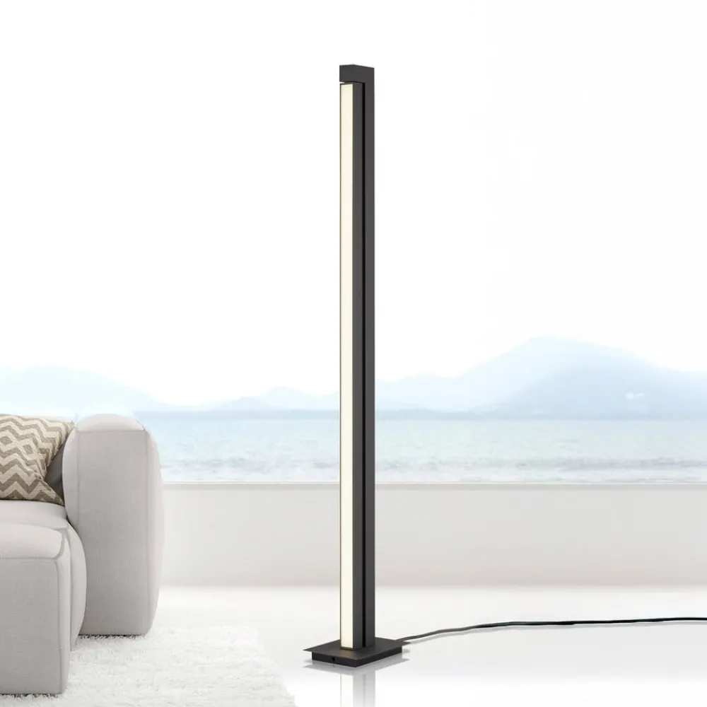 Gulvlamper ^ PURE LED-gulvlampe Lines, antracit, fjernbetjening, 140 cm