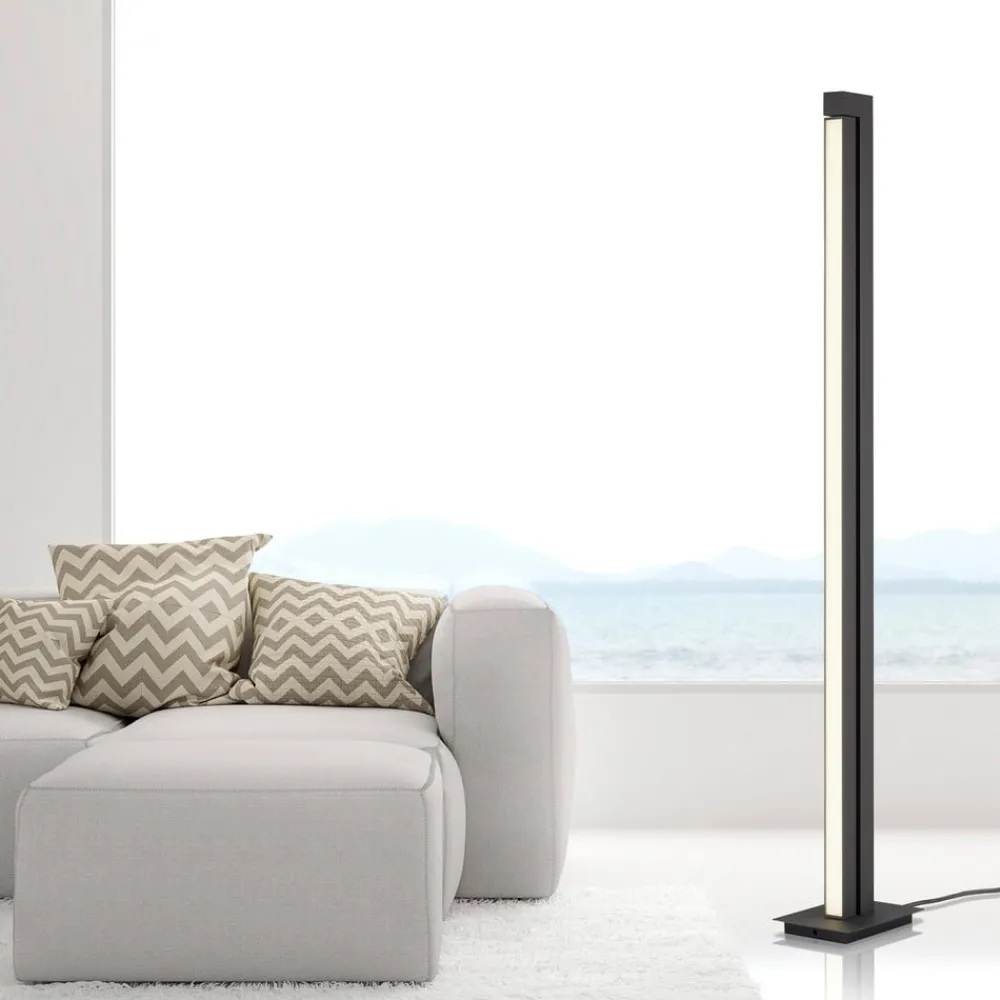 Gulvlamper ^ PURE LED-gulvlampe Lines, antracit, fjernbetjening, 140 cm