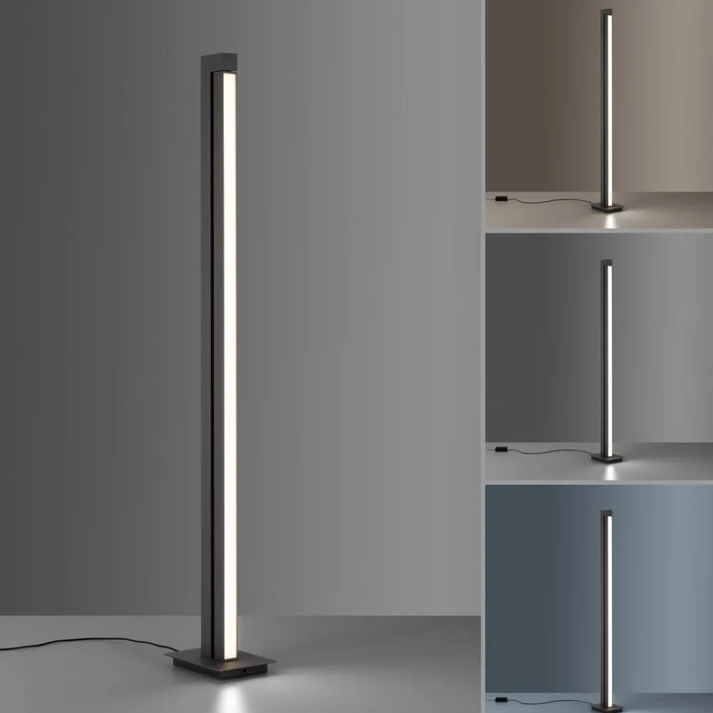 Gulvlamper ^ PURE LED-gulvlampe Lines, antracit, fjernbetjening, 140 cm