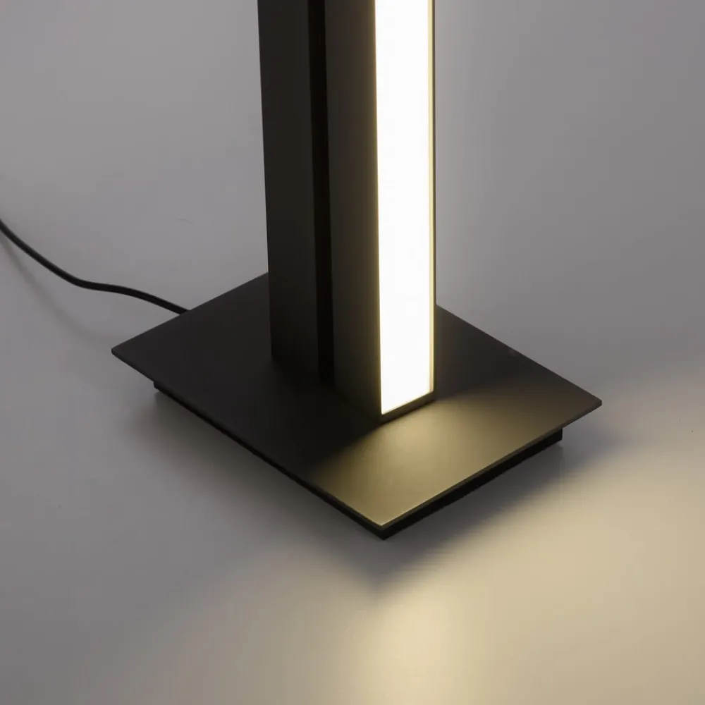 Gulvlamper ^ PURE LED-gulvlampe Lines, antracit, fjernbetjening, 140 cm