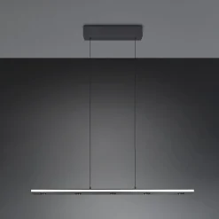 Trio Lighting Arbejdsrum/Kontor|Pendellamper > LED-hængelampe Graham, sort, metal, op/ned, CCT, dæmper
