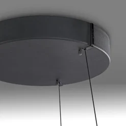 PURE Pendellamper > LED-hængelampe E-Loop, eg/sort perle, Ø 70 cm aluminium, CCT