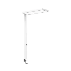 Maul Arbejdsrum/Kontor > LED-klemmelampe jura, hvid, aluminium, dæmpbar, 100 cm