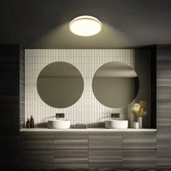 Briloner Loftlamper > LED-loftlampe Acorus, Ø 28 cm, hvid/træfarvet, IP44