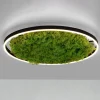Gang|Loftlamper ^ JUST LIGHT. GmbH LED-loftlampe Green Ritus, mos dæmpbar Ø58,5cm