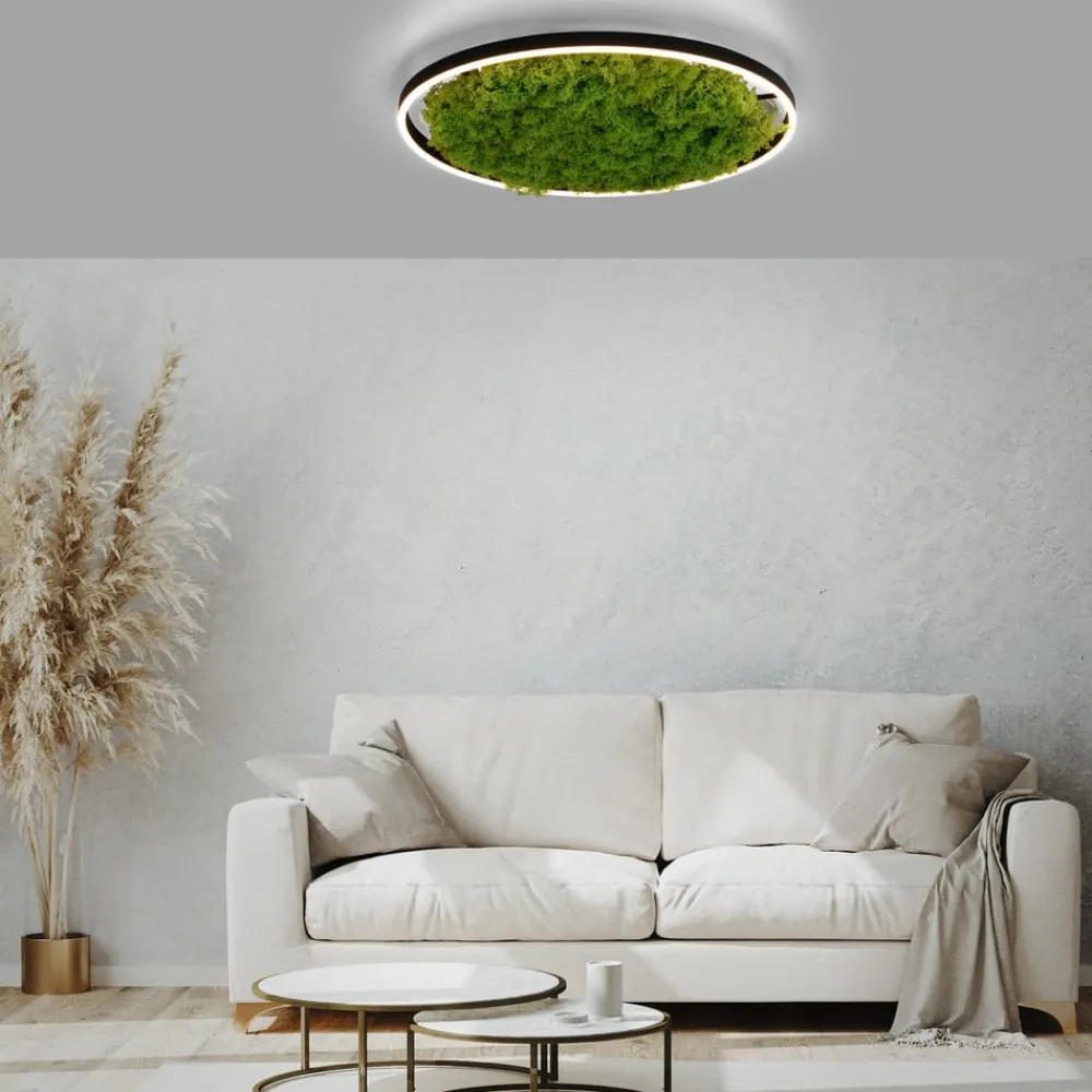 Gang|Loftlamper ^ JUST LIGHT. GmbH LED-loftlampe Green Ritus, mos dæmpbar Ø58,5cm
