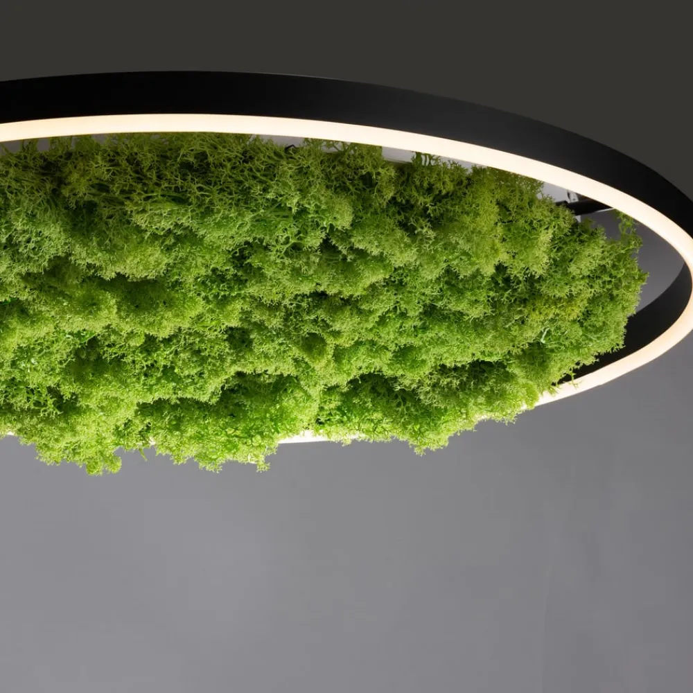 Gang|Loftlamper ^ JUST LIGHT. GmbH LED-loftlampe Green Ritus, mos dæmpbar Ø58,5cm