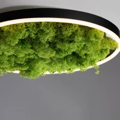 Gang|Loftlamper ^ JUST LIGHT. GmbH LED-loftlampe Grøn Ritus, mos dæmpbar Ø39,3cm