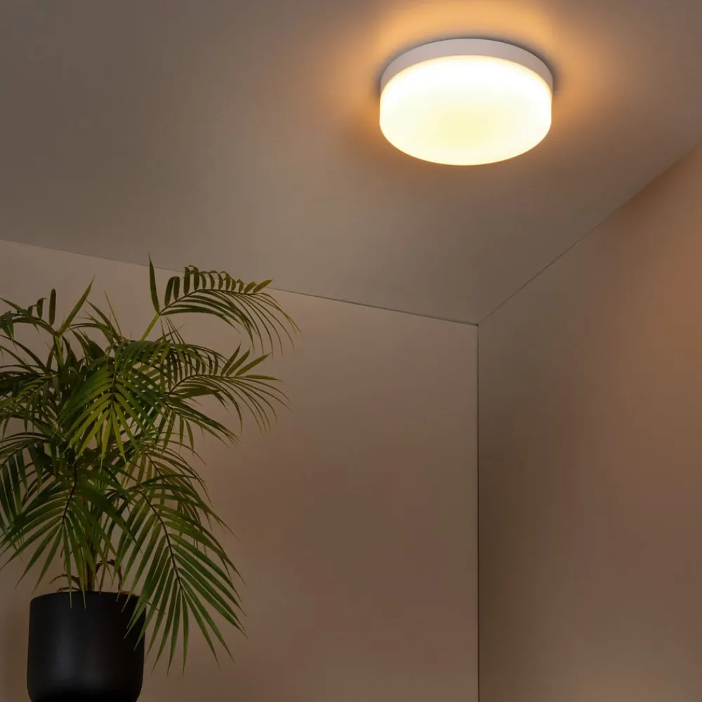 Lucide Loftlamper > LED-loftlampe til badeværelset Biskit, hvid, Ø 23 cm, plast