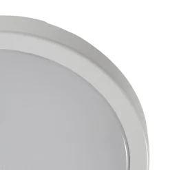 Udendørs Loftlamper ^ Milagro Lighting LED-loftlampe Vera, hvid, plast, Ø 22 cm, IP65