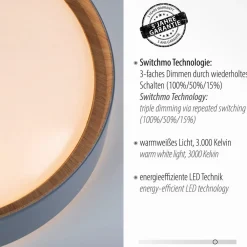 JUST LIGHT. GmbH Gang|Loftlamper > LED-loftslampe Emilia, tretrins dæmpbar, grå