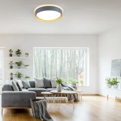 JUST LIGHT. GmbH Gang|Loftlamper > LED-loftslampe Emilia, tretrins dæmpbar, grå