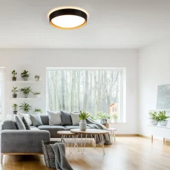 Loftlamper|Loftlamper ^ JUST LIGHT. GmbH LED-loftslampe Emilia 3-trins dæmpbar sort