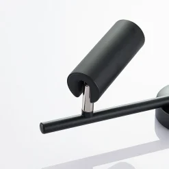 Loftlamper ^ Lindby LED-loftspot Camille, sort, to lyskilder