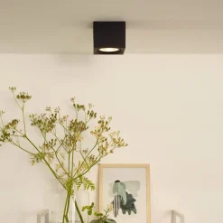 Lucide Spotlights > LED-loftspot Fedler kantet sort