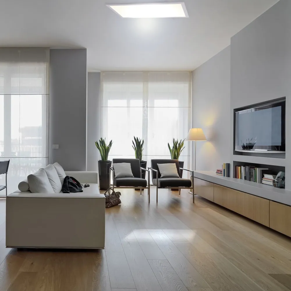 Arbejdsrum/Kontor|Loftlamper ^ Näve LED-panel 1298003 til af-/montering, 60x30 cm