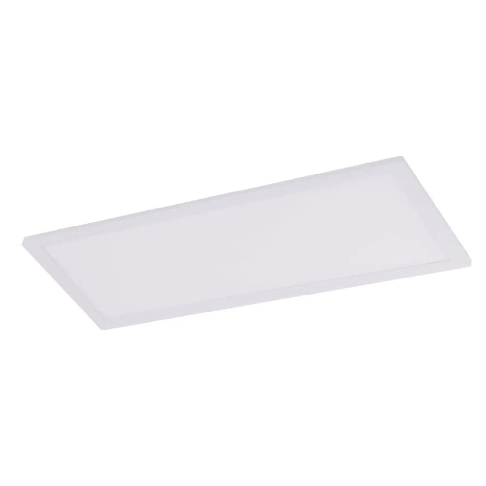Arbejdsrum/Kontor|Loftlamper ^ Näve LED-panel 1298003 til af-/montering, 60x30 cm