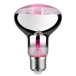 Paulmann Led Pærer > LED-plantepære E27 R80 6,5W