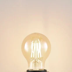 Arcchio Dæmpbar Led-Pære|Filament Pære > LED-pære E27 A60 6,5W 2.500K ravfarvet 3-trins dæmpbar