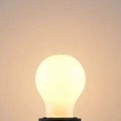 Arcchio Dæmpbar Led-Pære|Led Pærer > LED-pære E27 6W 2.700 K dæmpes opal 2 stk