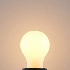Arcchio Dæmpbar Led-Pære|Led Pærer > LED-pære E27 4W 2.700K kan dæmpes, opal