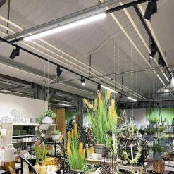 Deko-Light Skinnesystem > LED-skinnelampe LINEAR PRO sort 930 60 cm 3-kredsløb DALI