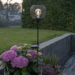STAR TRADING Solcellelamper|Udendørs Spot > LED-solcellelampe Suinlight med jordspyd