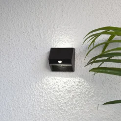 STAR TRADING Solcelle Lampe Med Sensor|Væglampe Med Sensor > LED-solcellelampe Wally med opad- og downlight